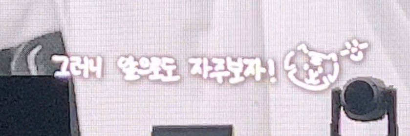 마야🐾 banner