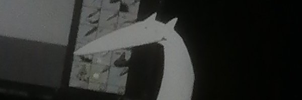 Notunorchido Profile Banner