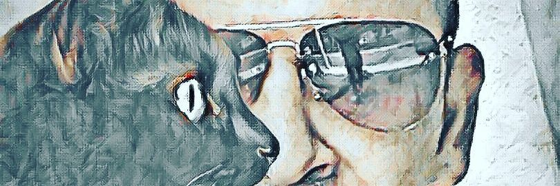 sonefes46's profile banner image