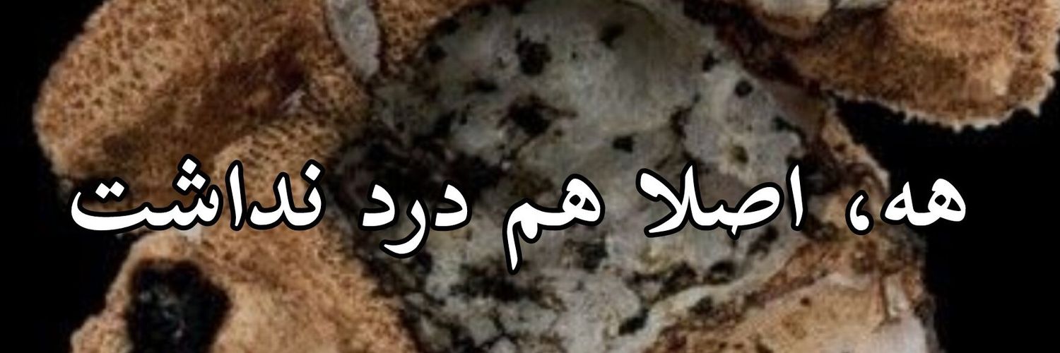 maybe_sedot's profile banner image