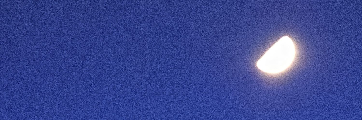 sdmvida's profile banner image