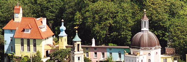 theFieni Profile Banner