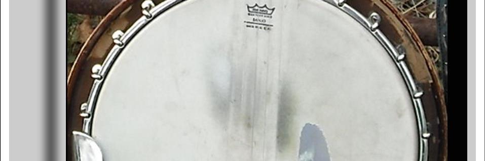 Runaway Dixie banner