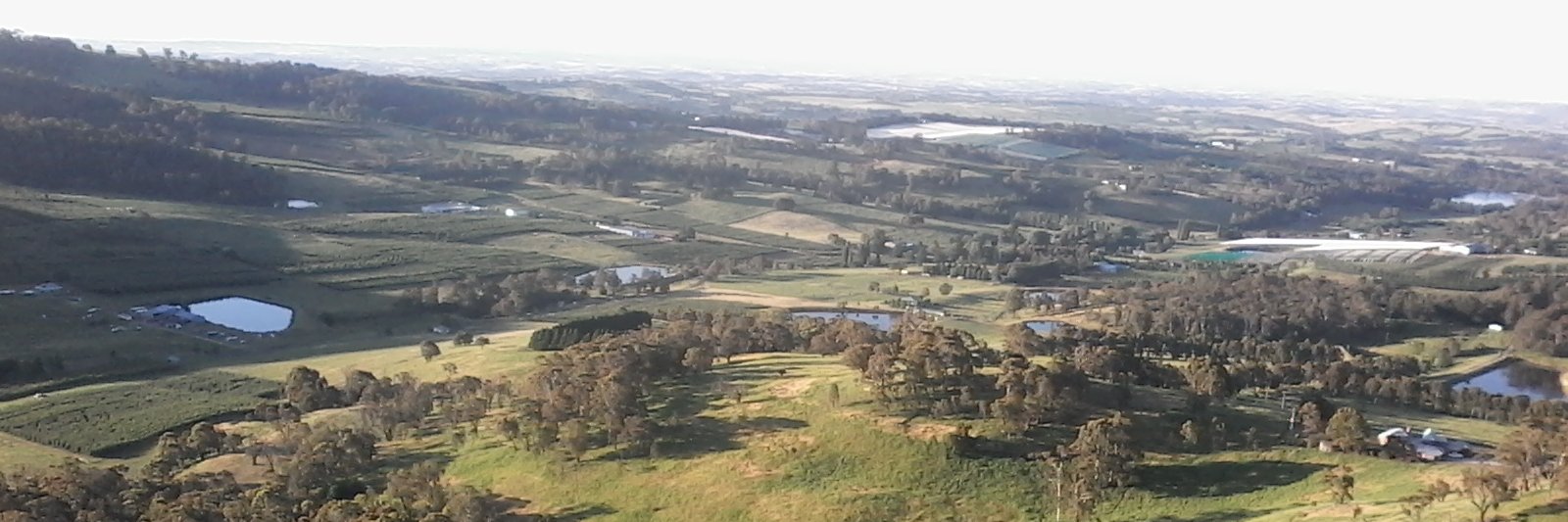 Dwight Walker banner