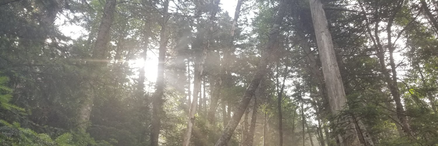 ✚VictrD ✚ 🇺🇸🇺🇦🇮🇱🇹🇼🇬🇪 #NAFO banner