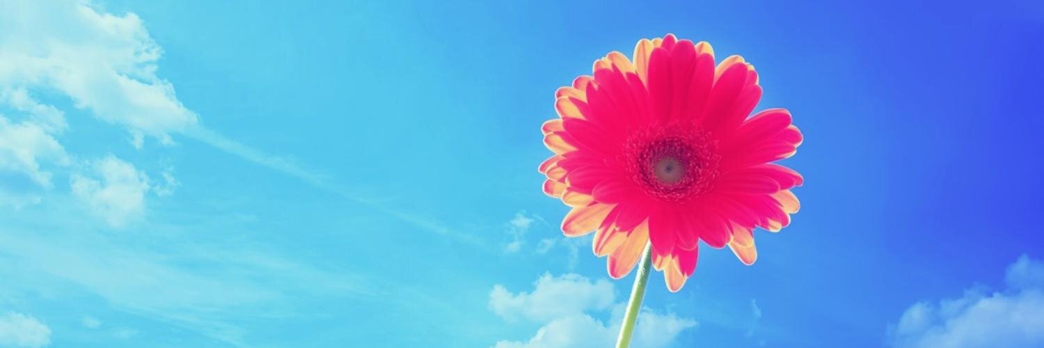 plume1122's profile banner image