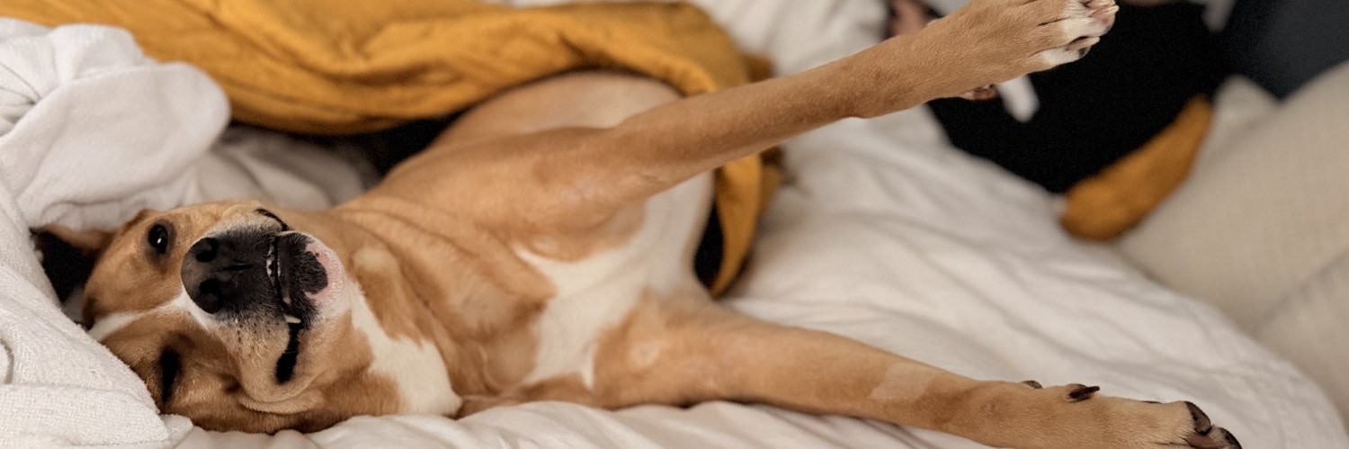 Kyle, it’s just who I am banner