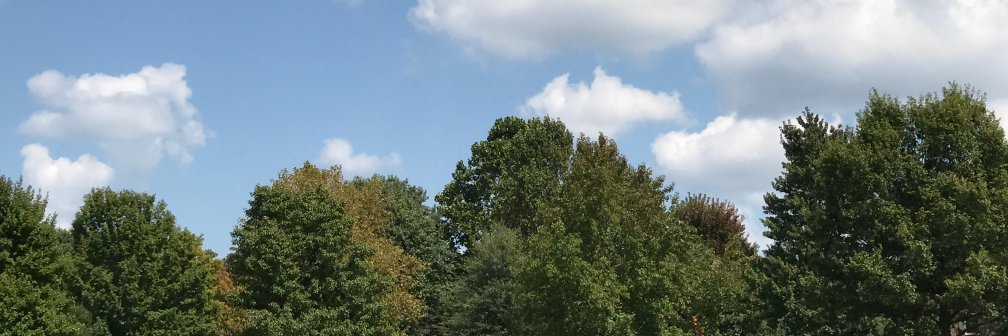 brianowaters's profile banner image