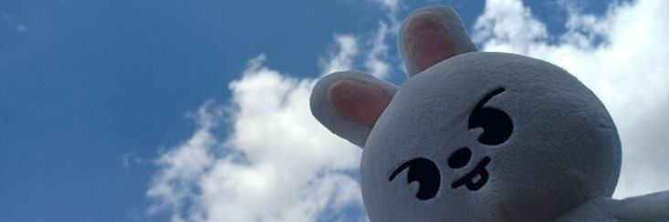 🐰ྀི banner