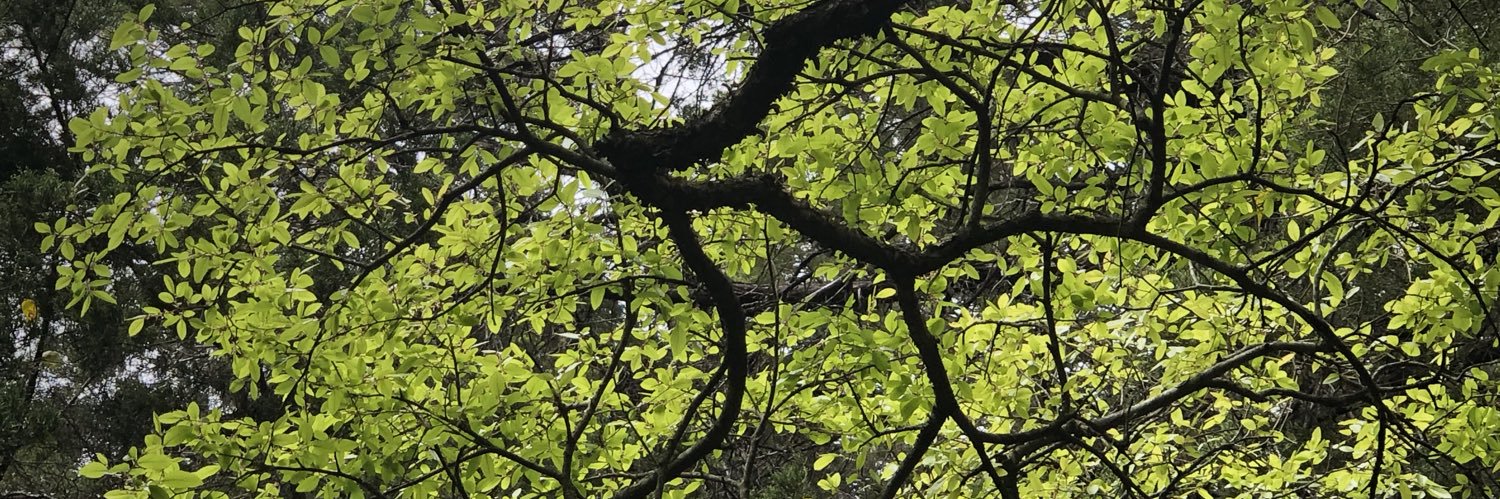 EvanJGregory's profile banner image