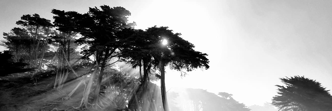 gregoryswilson's profile banner image