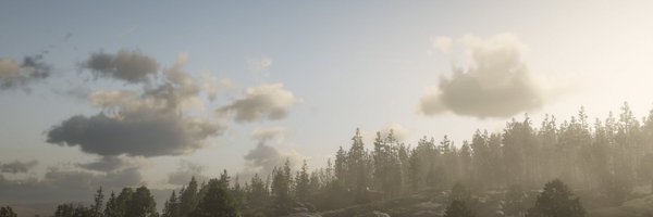 frizkedblizz Profile Banner