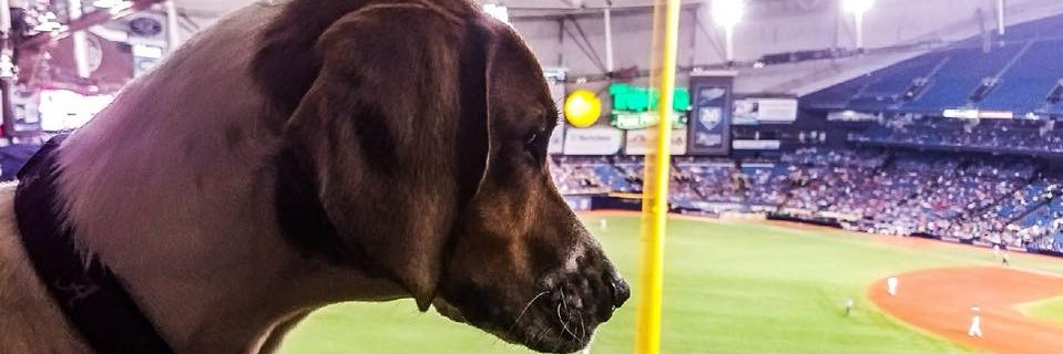 jndavidsonjr's profile banner image