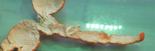 slipbleu_off Profile Banner