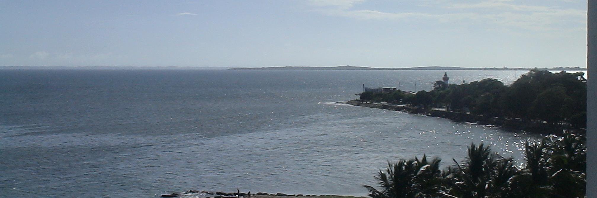 Nanci Albornoz banner