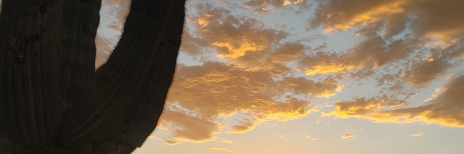 FlashFaber's profile banner image