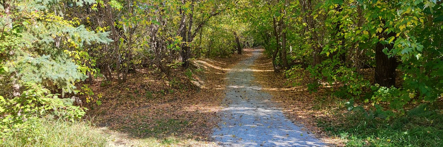 Mitch McCrimmon🍁 banner