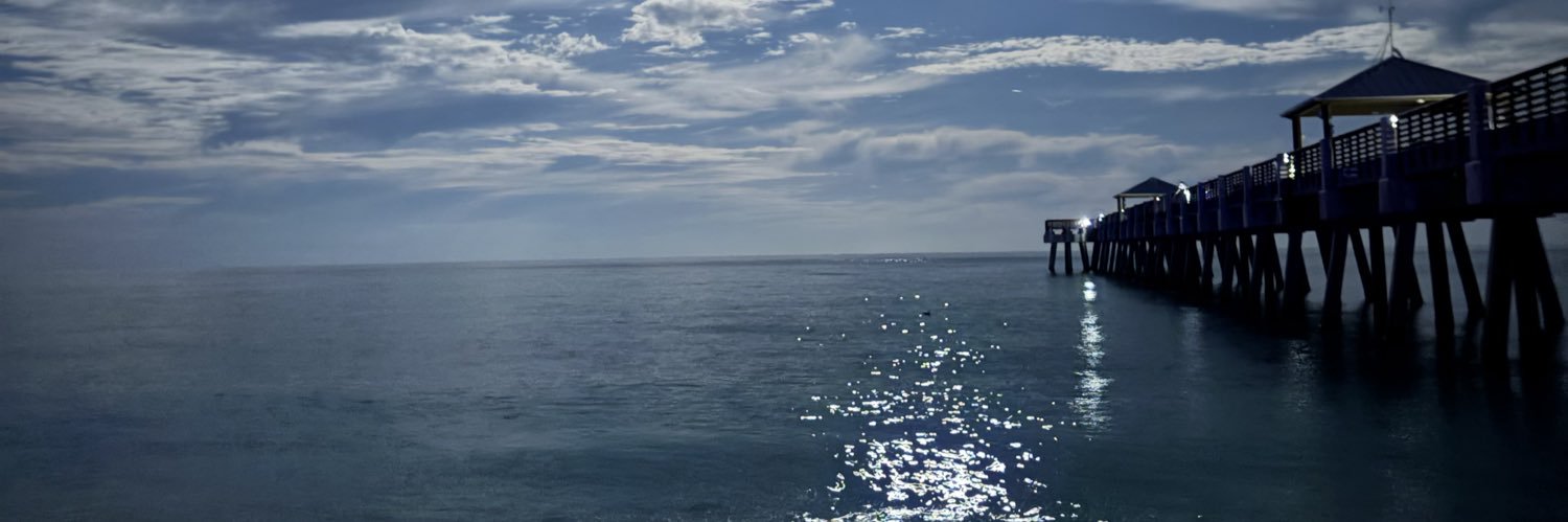 Rich Benjamin banner