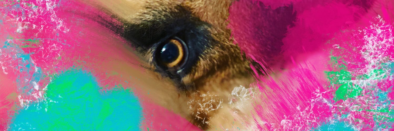 dogcolonialist's profile banner image