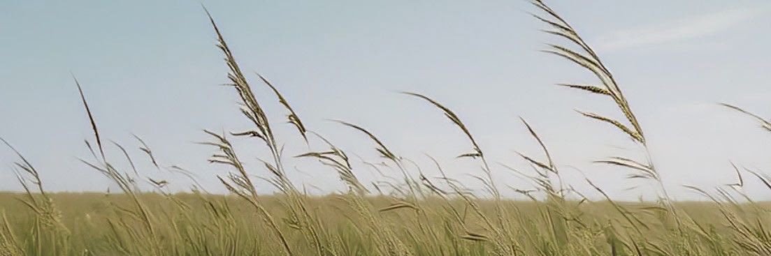 G3monR's profile banner image
