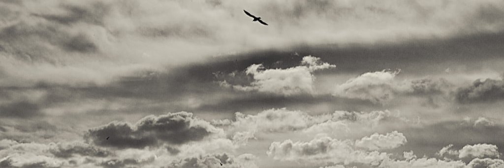 thecloudiestday's profile banner image