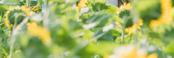 RukaJJ15 Profile Banner