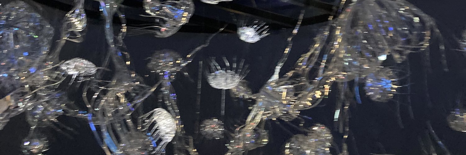 ﾆﾝ‼︎‼︎‼︎⁈ banner