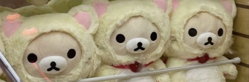 kittyluver7mch's profile banner image
