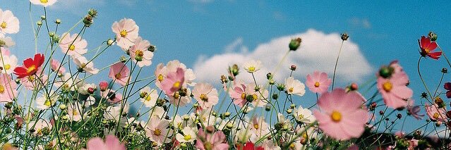 mayjustbeyou's profile banner image