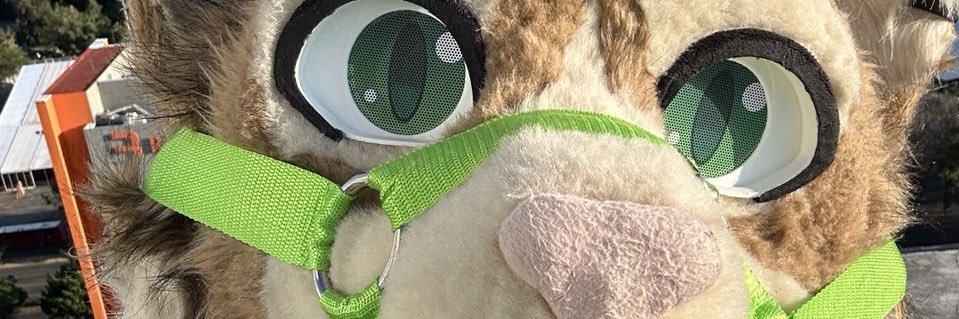 struemi's profile banner image