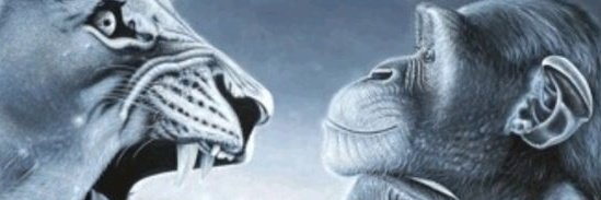 top0ooo's profile banner image