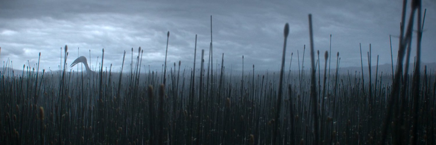 Quackingbeast banner