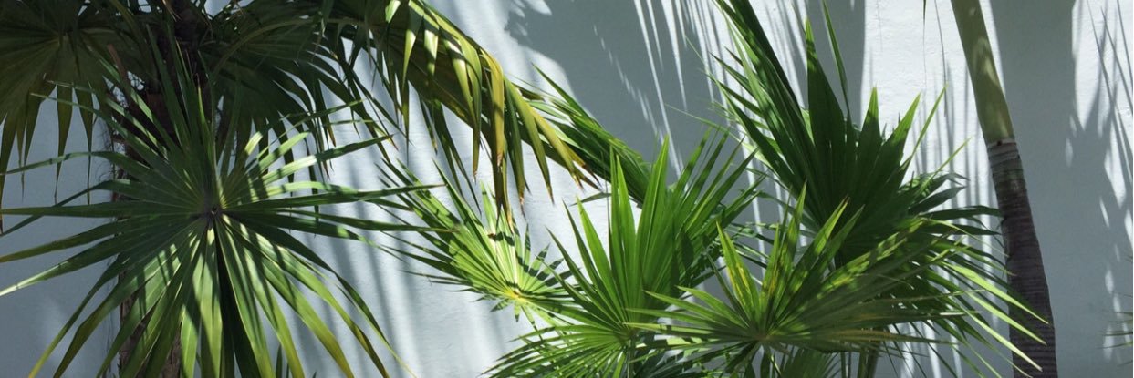 1998damn's profile banner image