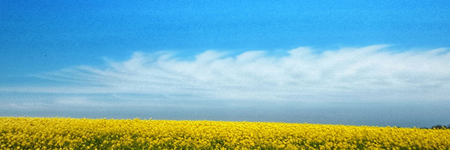 Relaxyourface's profile banner image