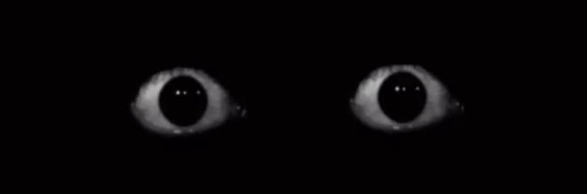 sillyjaylen's profile banner image