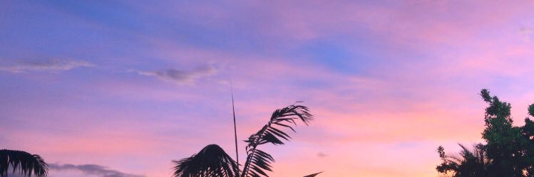 Thati banner