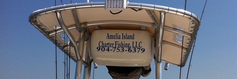 AICFishing's profile banner image