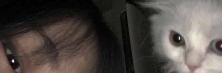 พวทปว banner