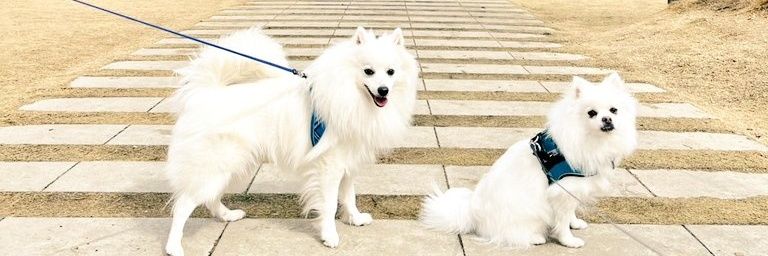 つめ店長(ひとつめ) banner