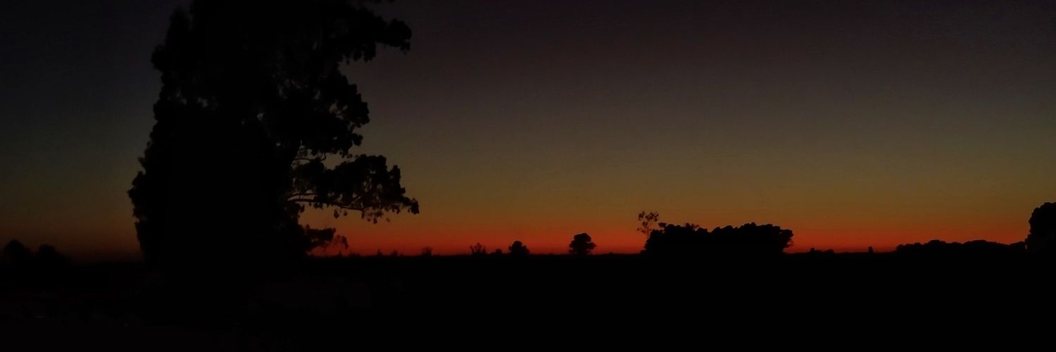 AntaCaceres's profile banner image