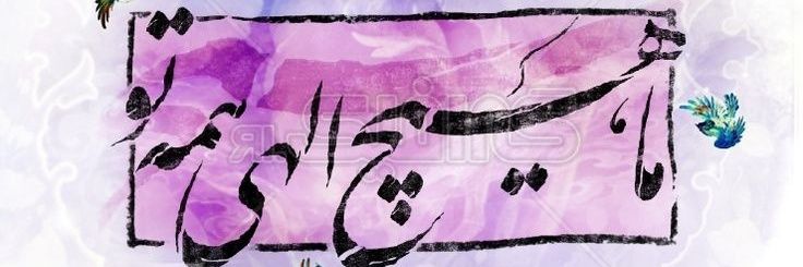 Zohreh X's banner