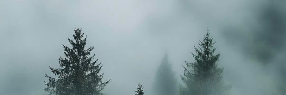 hpsd6rykrf's profile banner image
