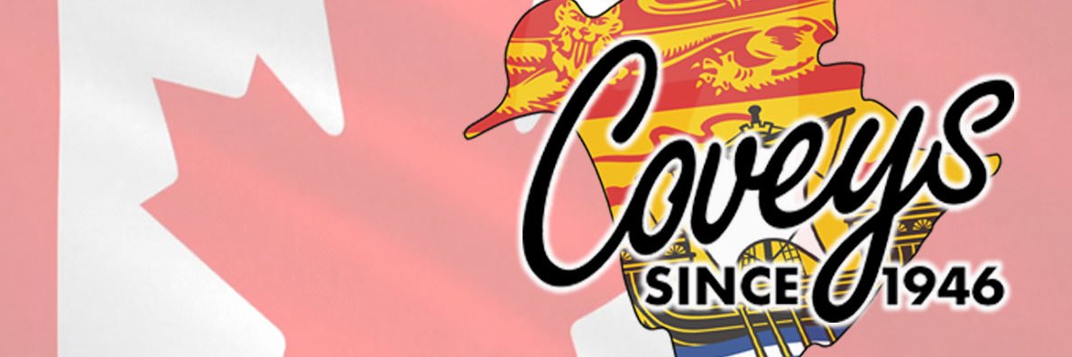 Covey Basics banner