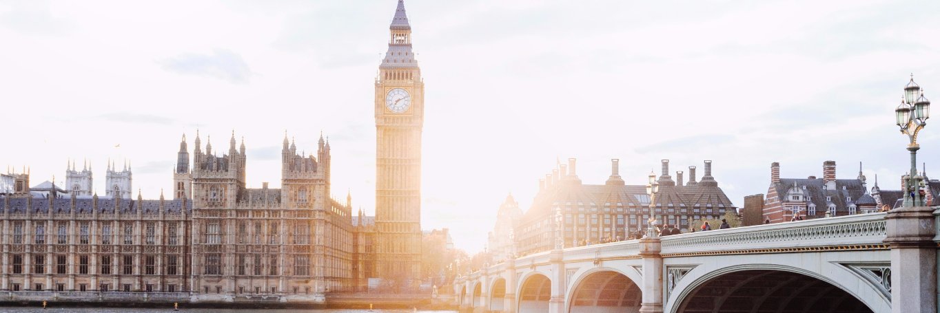 Stef Verbeeck™ banner