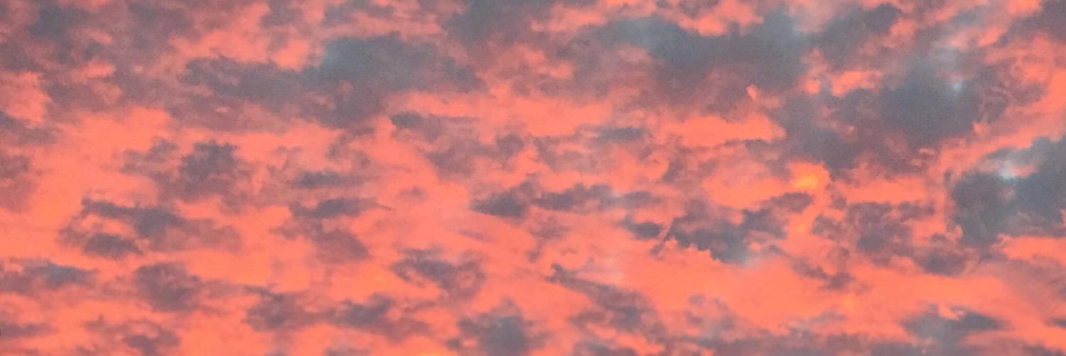 808mark's profile banner image