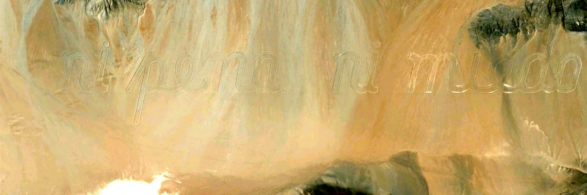 Christoph Dowe banner