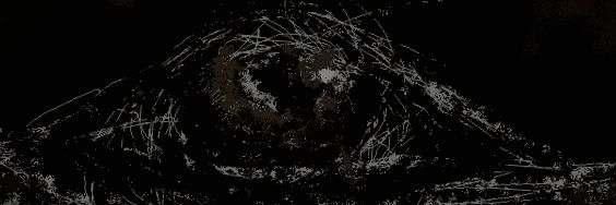 落書き / ImChikko banner