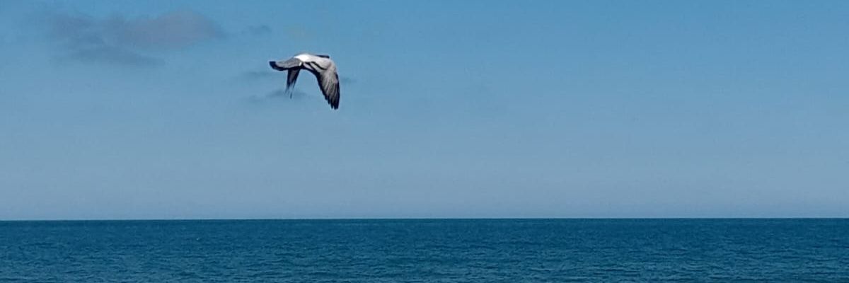 semakdnz ☀️ banner