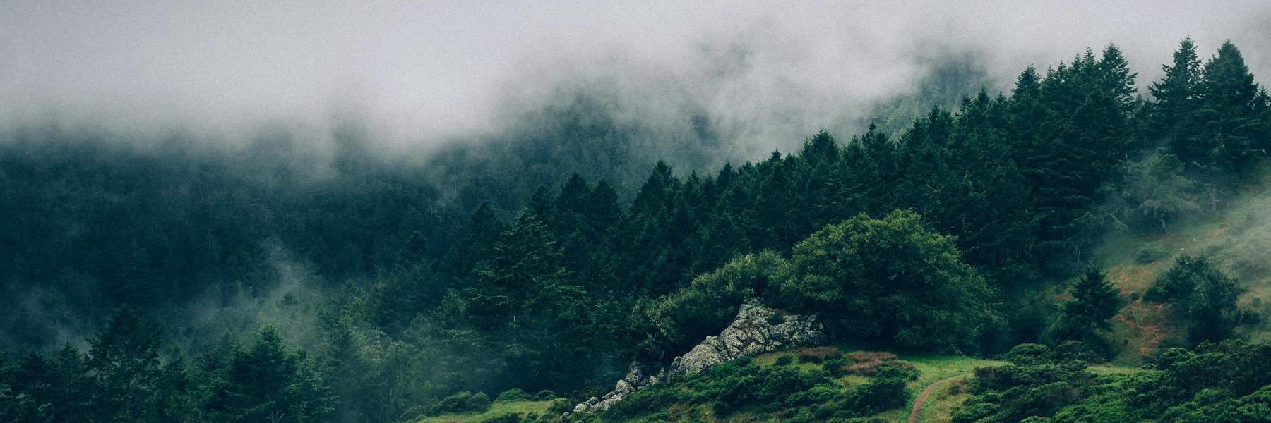 NewFoundBrand's profile banner image