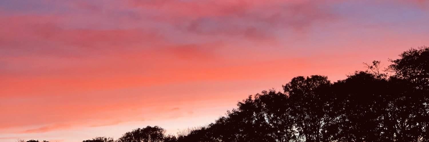 JudeRobbinson's profile banner image